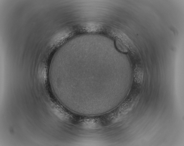 X0000112470740200908311349