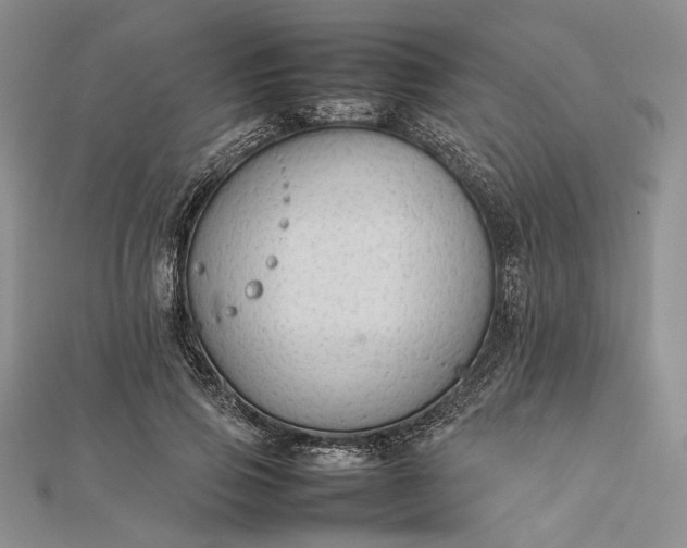 X0000112470741200908311349