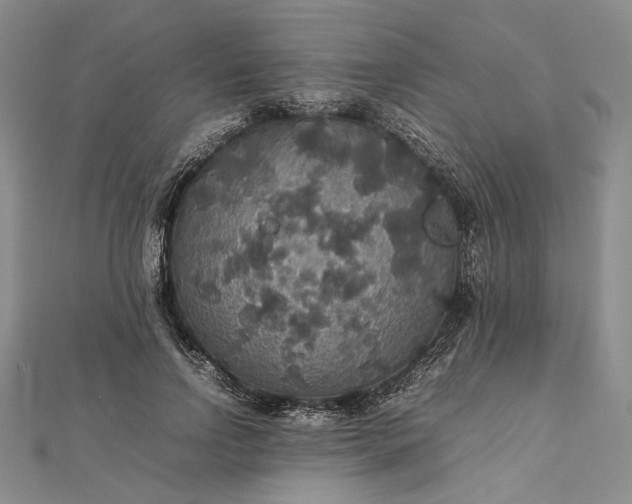 X0000112470742200908311349