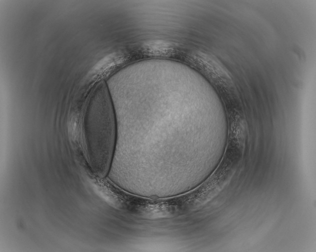 X0000112470744200908311349