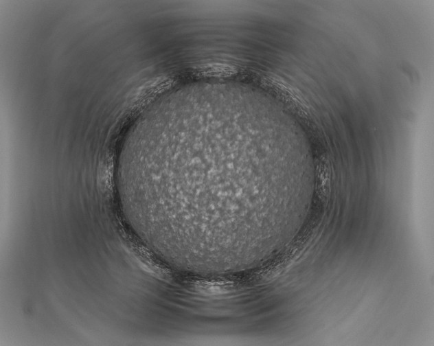 X0000112470745200908311349