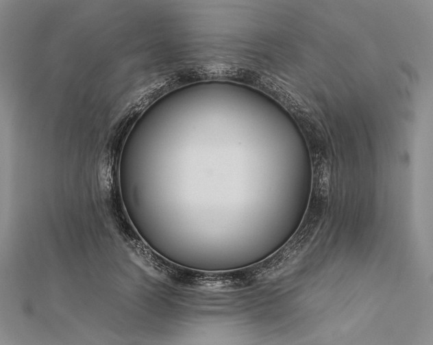 X0000112470746200908311349