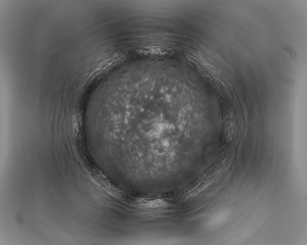 X0000112470747200908311349