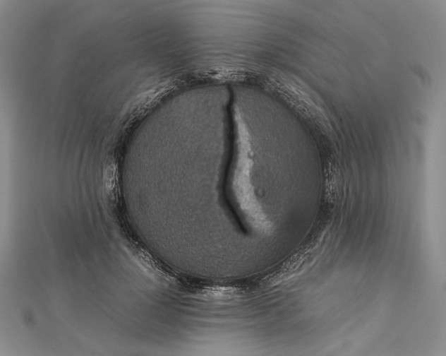 X0000112470748200908311349