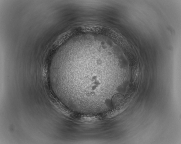 X0000112470749200908311349