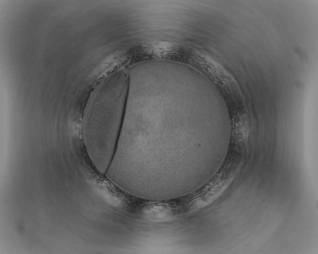 X0000112470750200908311349