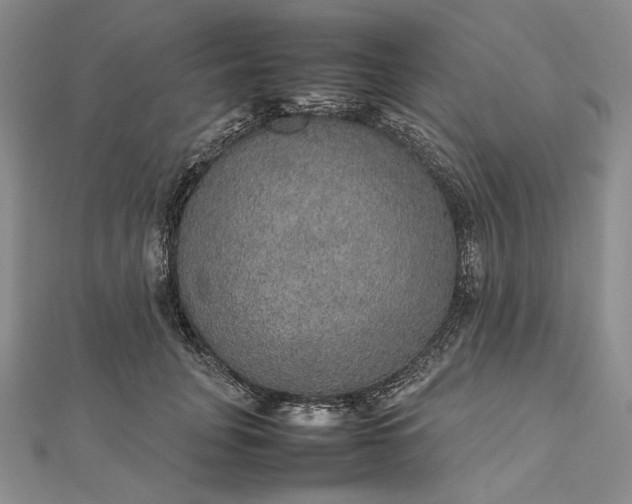 X0000112470751200908311349