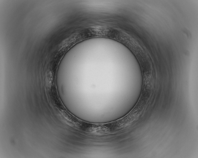 X0000112470752200908311349