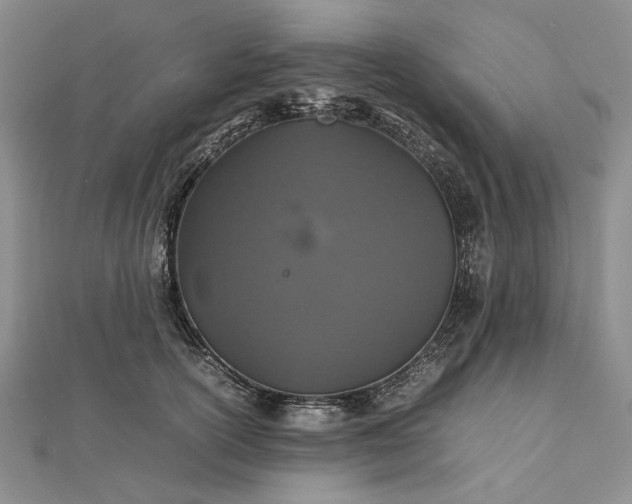 X0000112470754200908311350