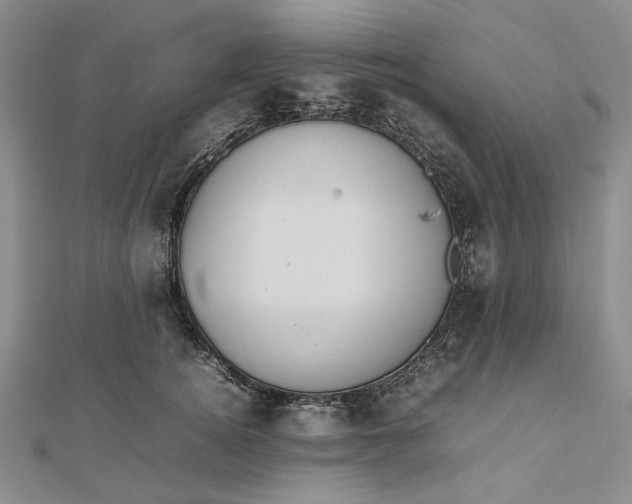 X0000112470756200908311350