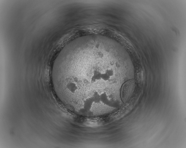 X0000112470757200908311350