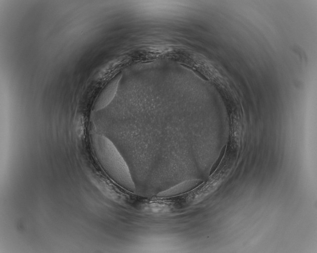 X0000112470758200908311350