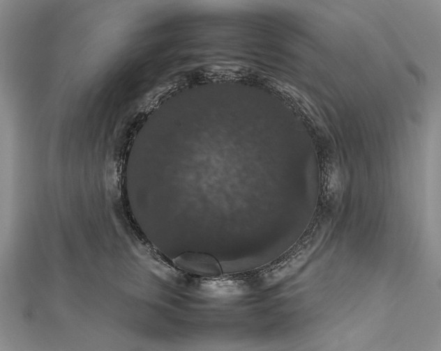 X0000112470759200908311350