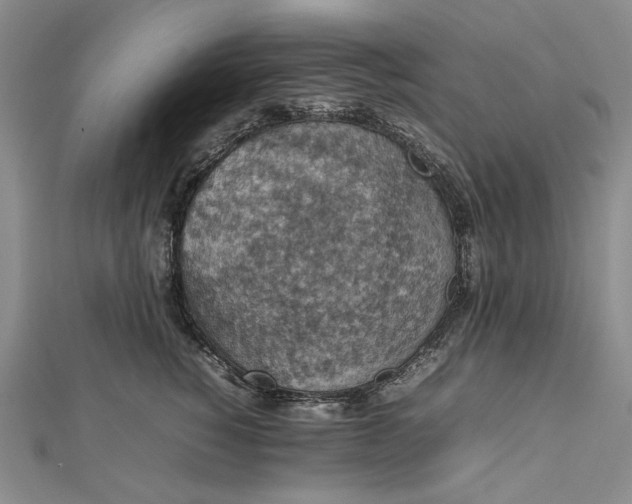 X0000112470760200908311350