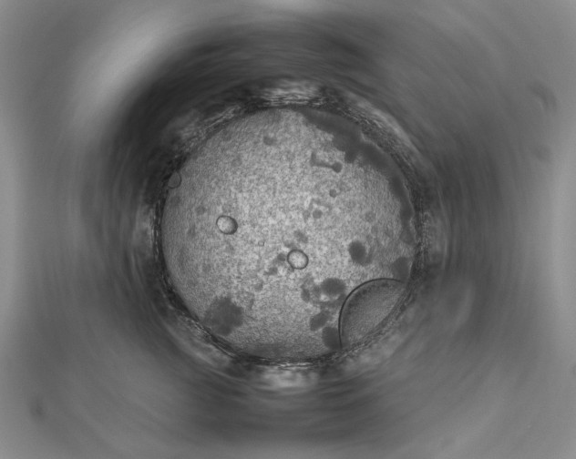 X0000112470761200908311350