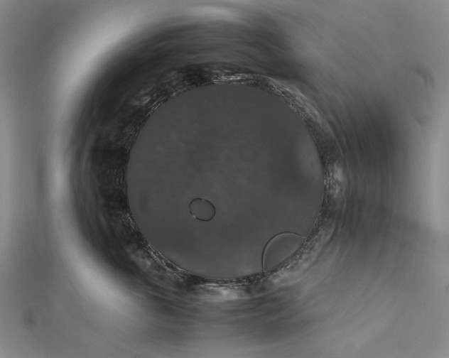 X0000112470763200908311350