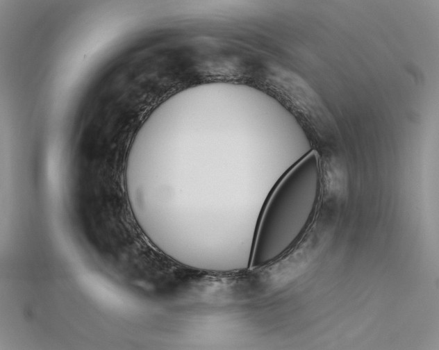 X0000112470764200908311350