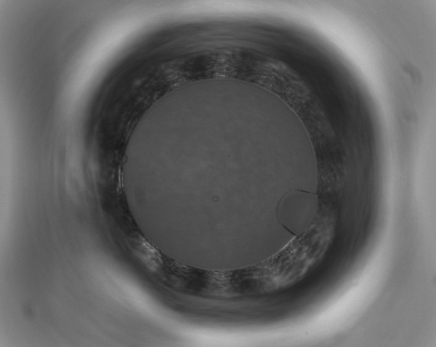 X0000112470766200908311350