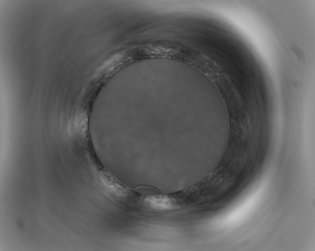 X0000112470767200908311350