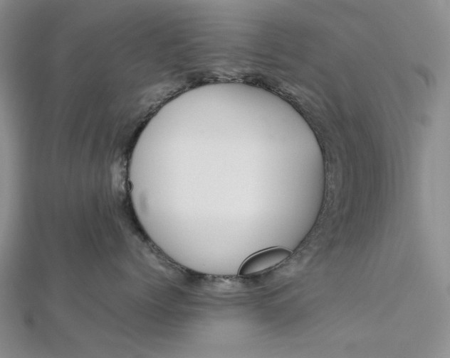 X0000112470768200908311350