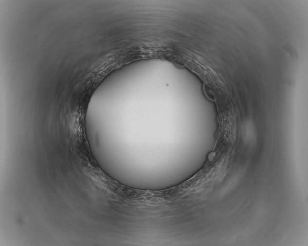 X0000112470770200908311349