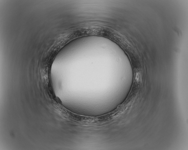 X0000112470771200908311349