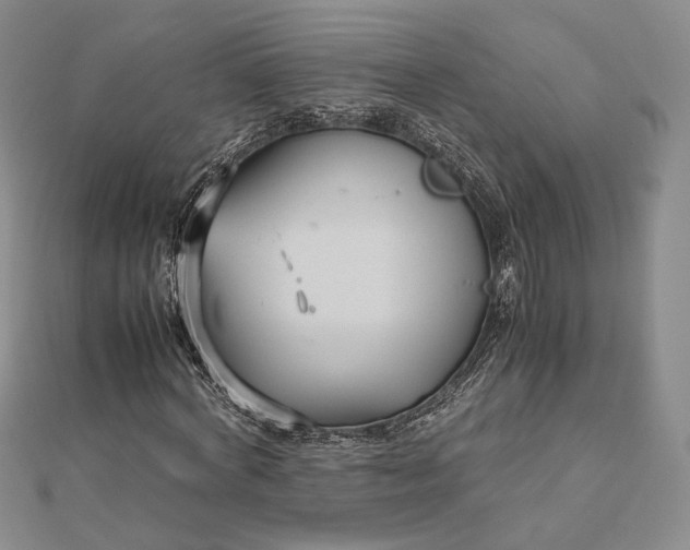 X0000112470772200908311349