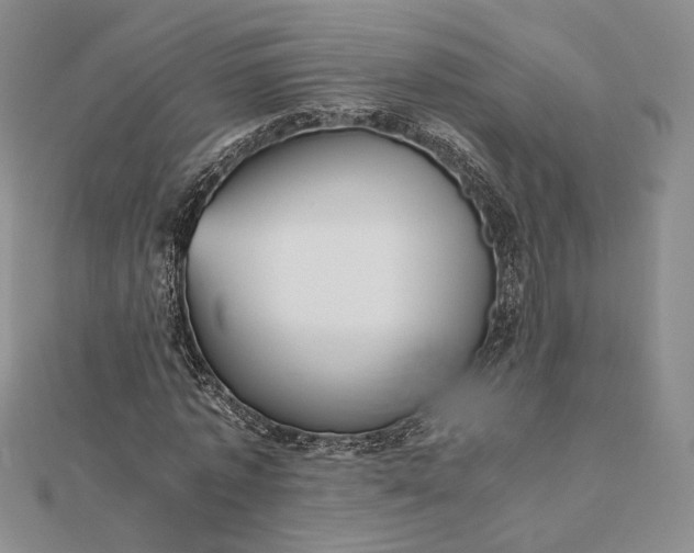 X0000112470773200908311349