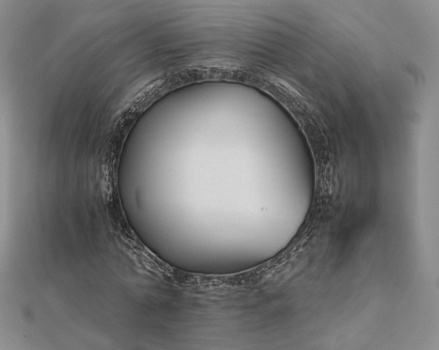 X0000112470774200908311349