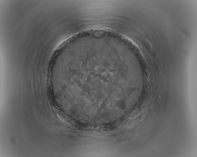 X0000112470775200908311349