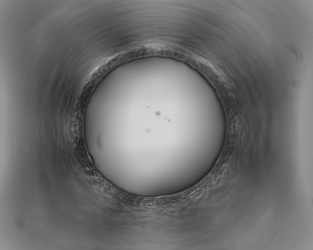 X0000112470776200908311349