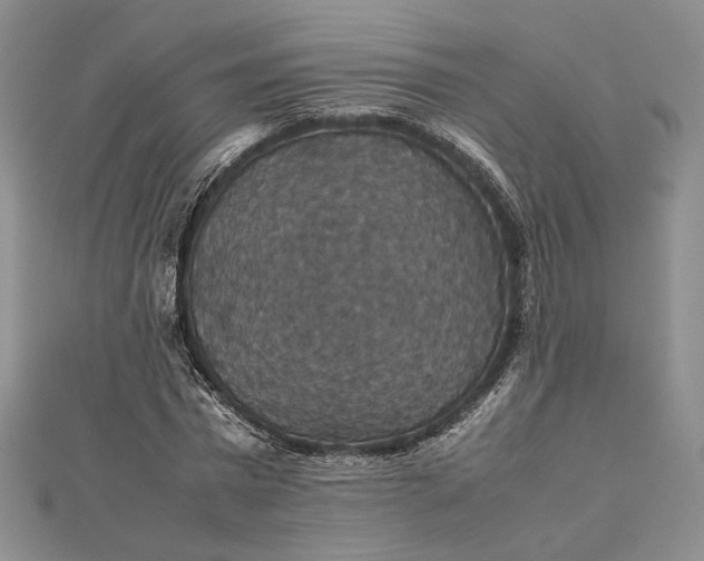 X0000112470777200908311349