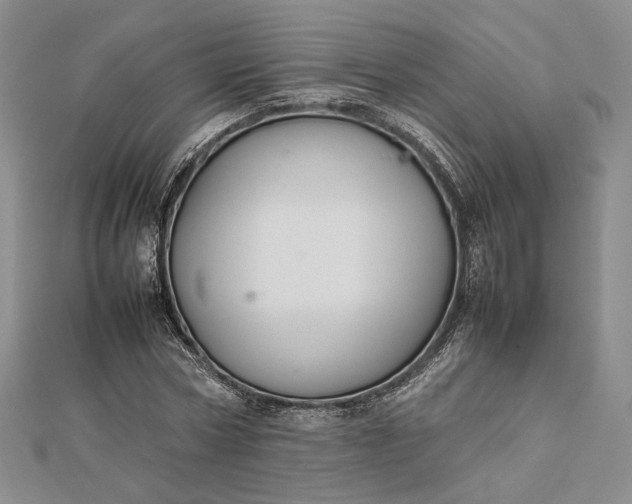 X0000112470778200908311349