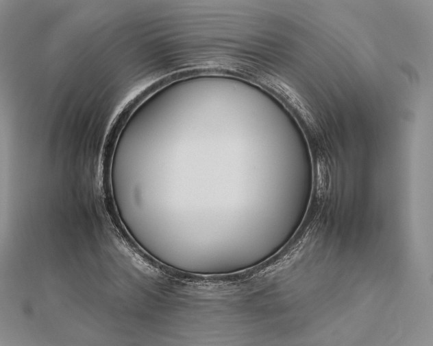 X0000112470780200908311349