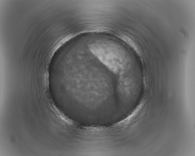 X0000112470781200908311349