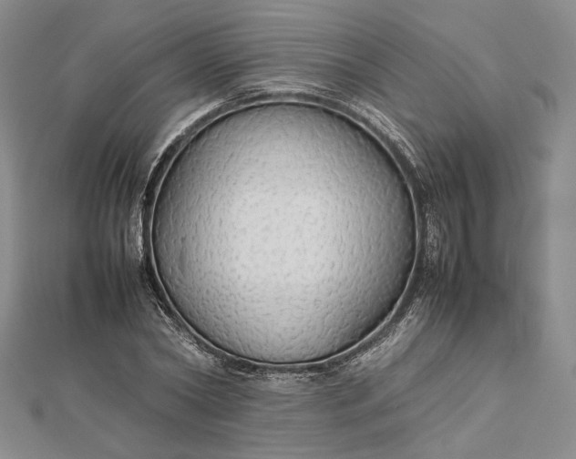 X0000112470782200908311349