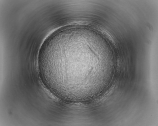 X0000112470784200908311349