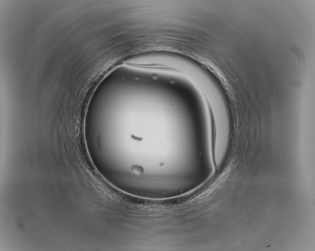 X0000112470785200908311349