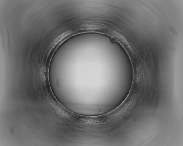 X0000112470786200908311349