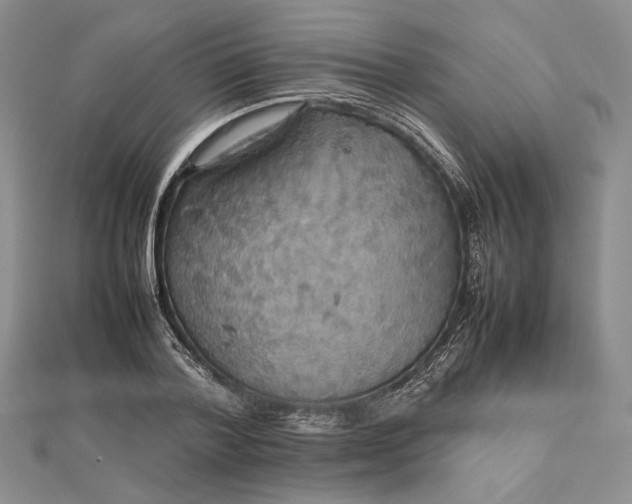 X0000112470788200908311349