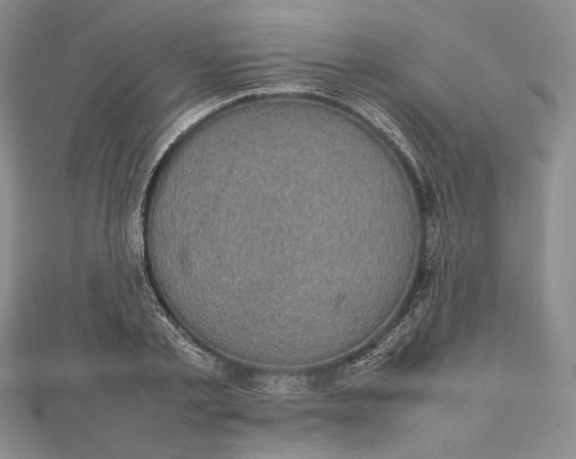 X0000112470789200908311349