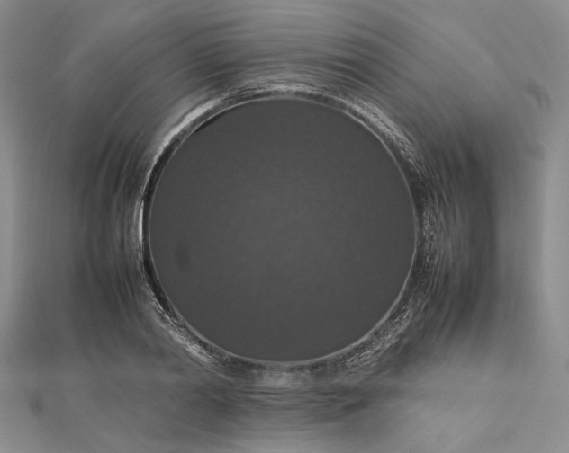 X0000112470790200908311349