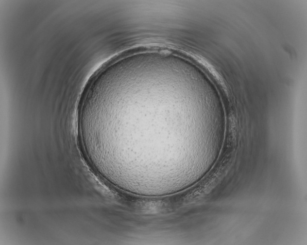 X0000112470791200908311349