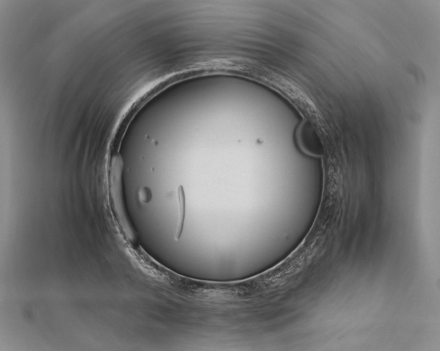 X0000112470792200908311349