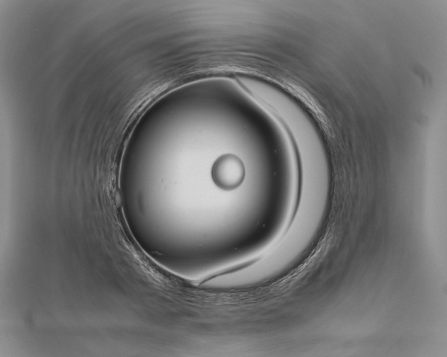 X0000112470793200908311349