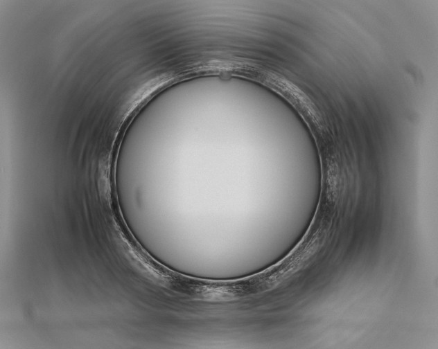 X0000112470794200908311349