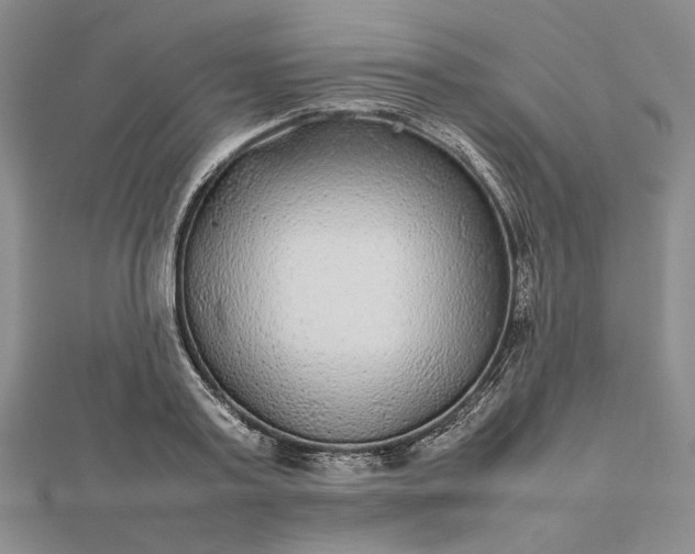 X0000112470795200908311349