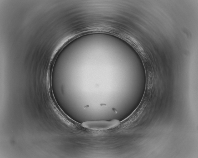 X0000112470796200908311349