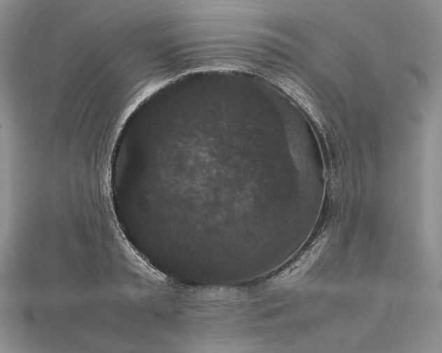 X0000112470797200908311349