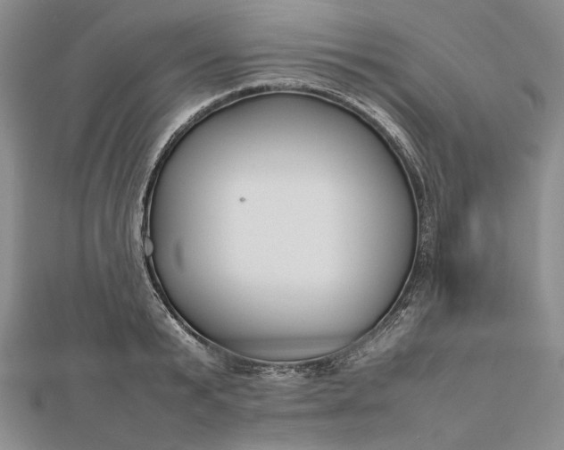 X0000112470799200908311349